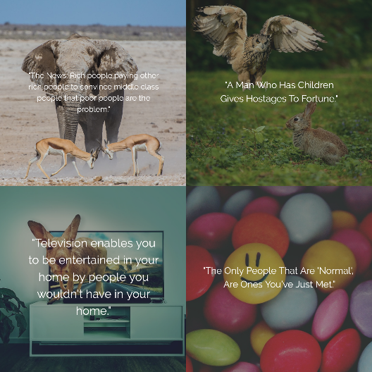 Funny Quotes Set - Image 3